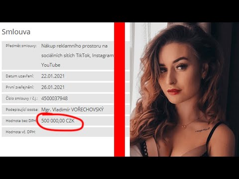 DOSTALI 500 000,- ZA TIKTOK?! | Vysvětlení a pravda!