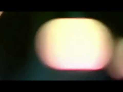 Funboys - Apparatuses (Official Video)