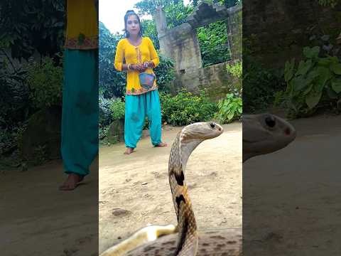 #shorts #hra hra mahadev 🙏🙏🙏🙏🙏