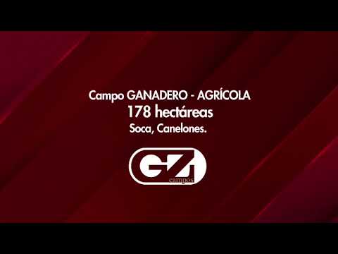 178 ha en Soca Canelones