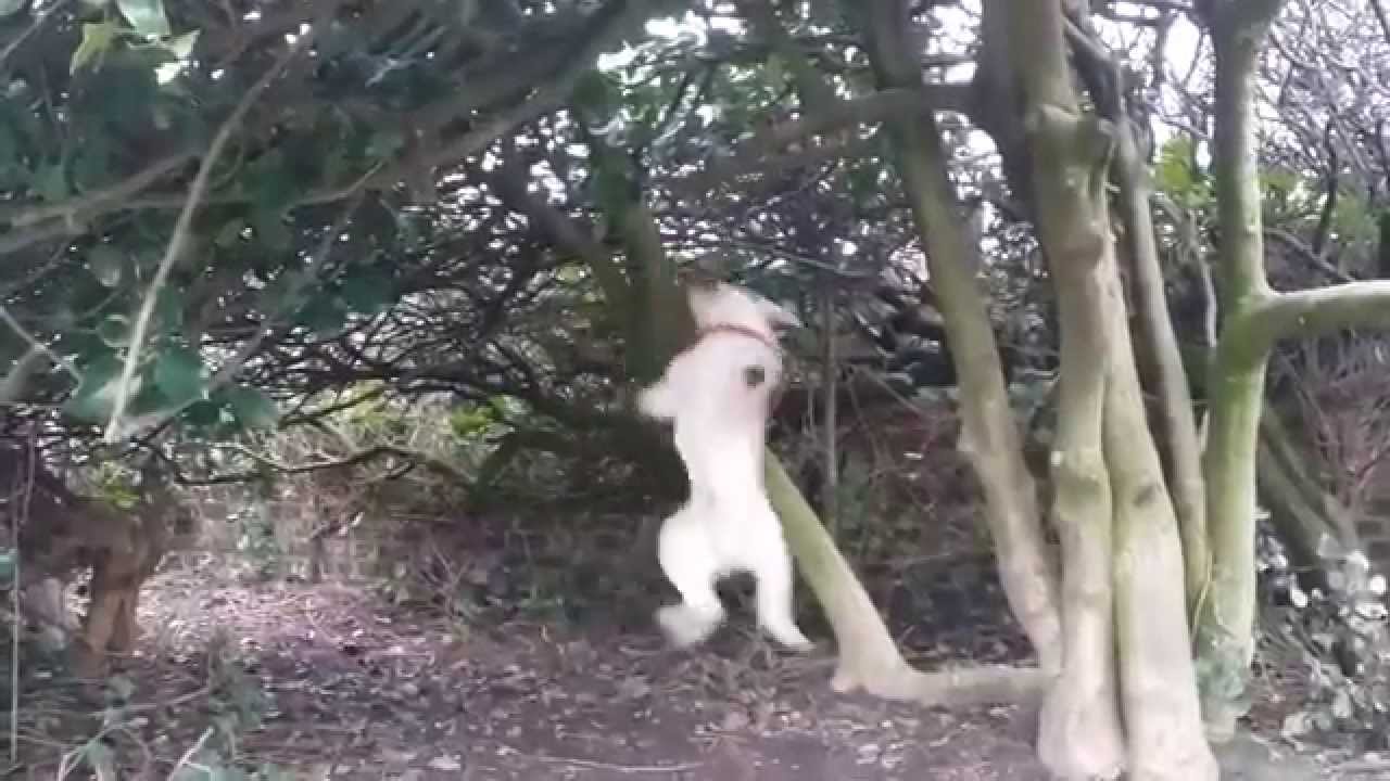 Thiết hàm công :v