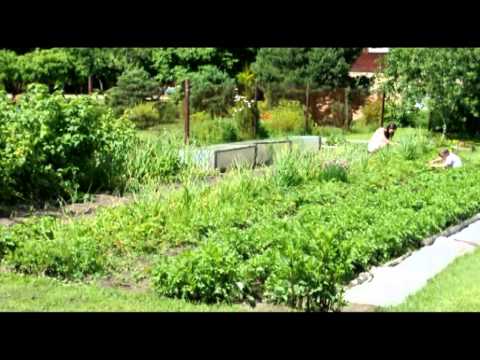 Ain Arula ans. Kondor - "Ma sinu leidsin"