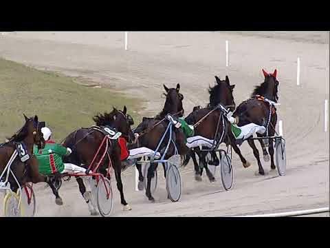 Napoli Trotto 21/09/2023 - 1ª corsa