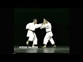 Kata Hangetsu Bunkai