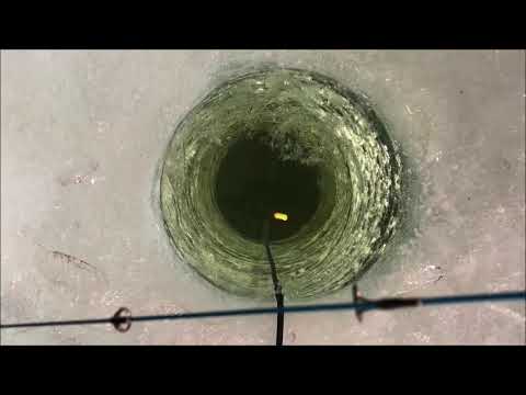 612outdoors.com : West Rush Lake 3/3/2018