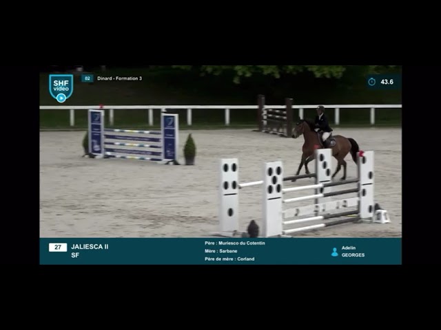 JALIESCA II &ndash; Jument SF de 7 ans &ndash; Pr&ecirc;te 1,20 m