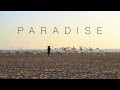 Don Trunk - PARADISE (CALIFORNIA DREAMIN ...