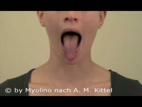 ZÜ 5. Zunge in Richtung Nase und Kinn