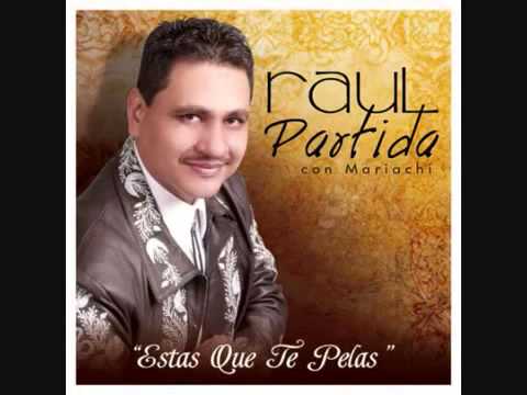 RAUL PARTIDA EL ARBOL