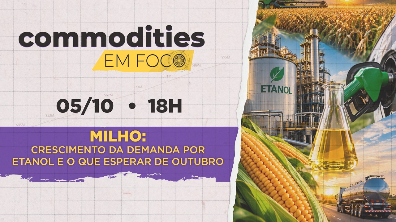 Milho: crescimento da demanda por etanol e o que esperar de outubro.  Confira no Commodities em Foco