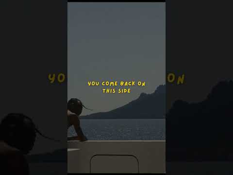 Travis Scott, Bad Bunny, The Weeknd | K POP