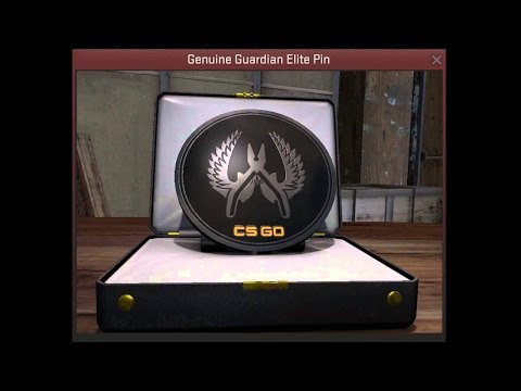Steam Community :: Video :: CS:GO - PIN capsule opening