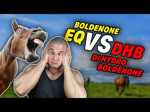 Boldenone (EQ) Vs. DiHydroBoldenone (DHB) | RACE HORSE Cycles