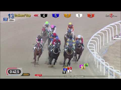 Trainers' Cup 2018 - Gaon Champ