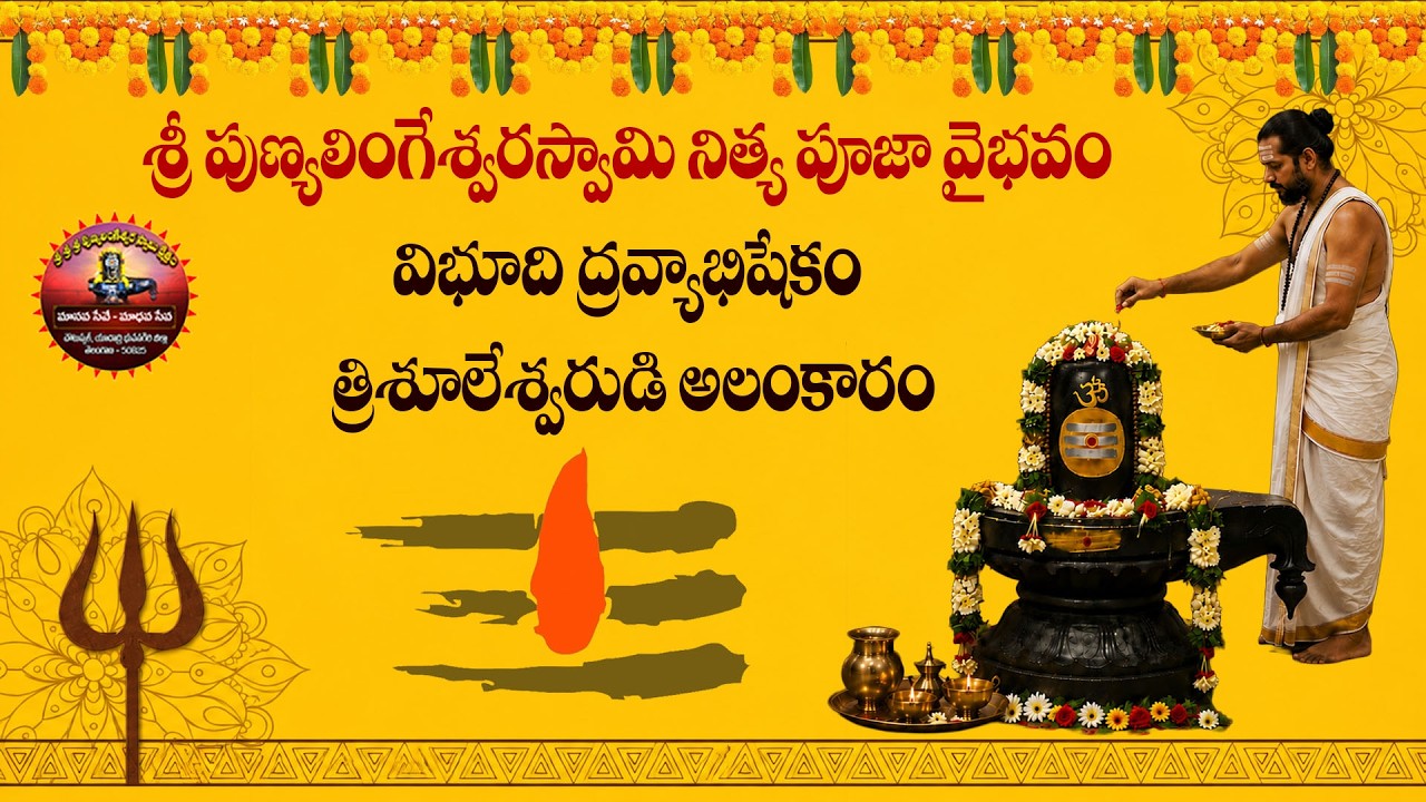 Sri Punyalingeswara Temple YouTube Live
