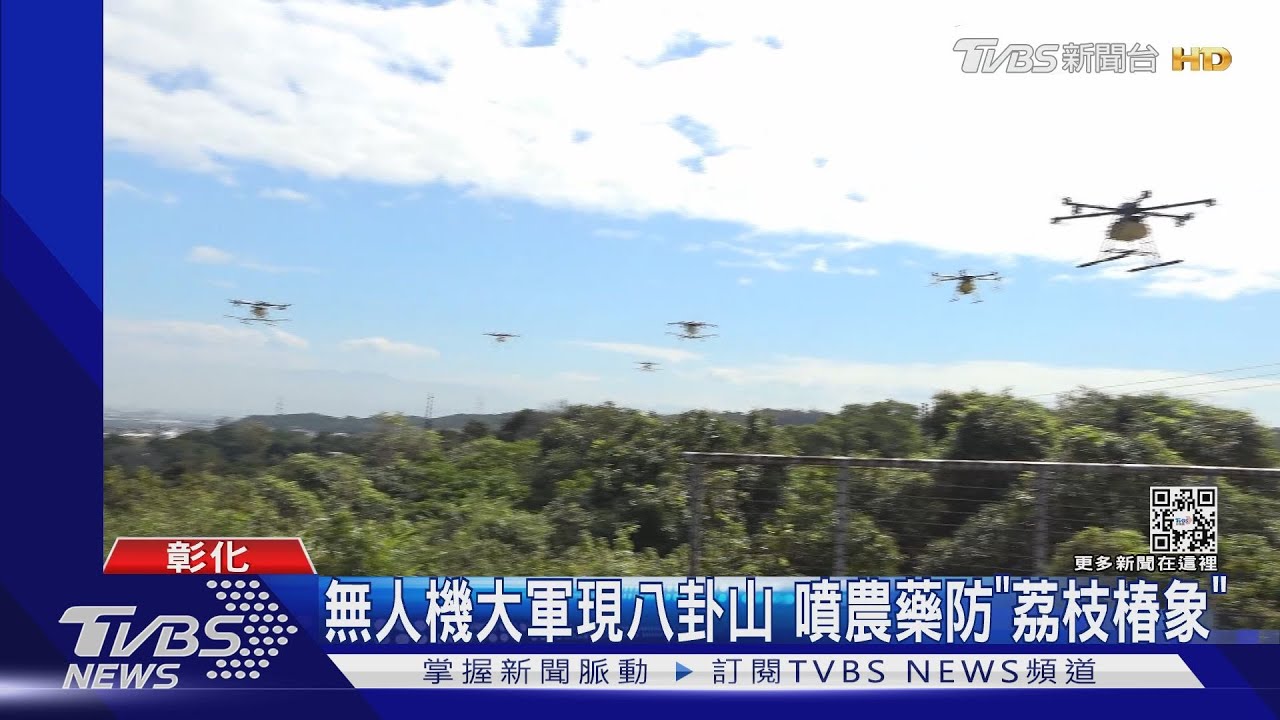 無人機大軍現八卦山 噴農藥防「荔枝椿象」