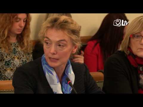 Izdvojeno - 14.12.2016. - Sjednica saborskog Odbora o kvaliteti zraka u Slavonskom Brodu