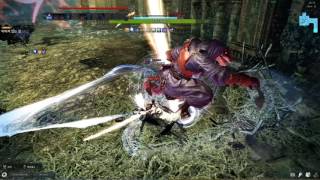 아인라허 노피격 금메달 - 이어져 있는 길