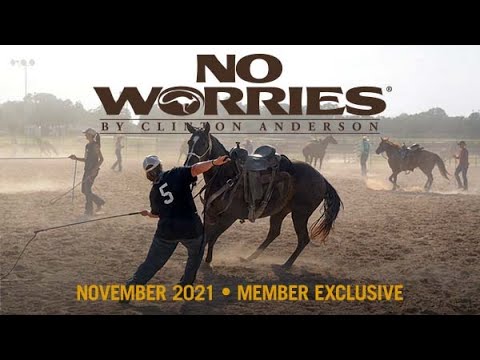 November NWC Preview: Colt Starting Clinic Diary Day 3