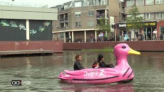 Niet alle eendjes zwemmen in het water