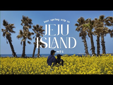 The Perfect 4-Day Jeju Island Itinerary 🇰🇷 Best Food & Ocean Views