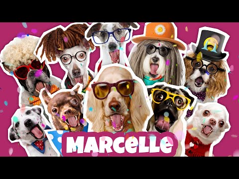 JOYEUX ANNIVERSAIRE MARCELLE - Chanson drôle par une meute de chiens déjantés 🎉