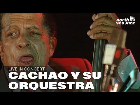 Cachao Y Su Orquestra  - Full Concert [HD] | Live at North Sea Jazz Festival 1995