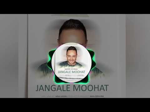 NASER=ZEYNALI=JANGALE MOOHATناصر زینلی=جنگل موهات