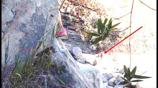 This Couple Accidentally Made A Chilling Discovery Just Meters From This Walk Path