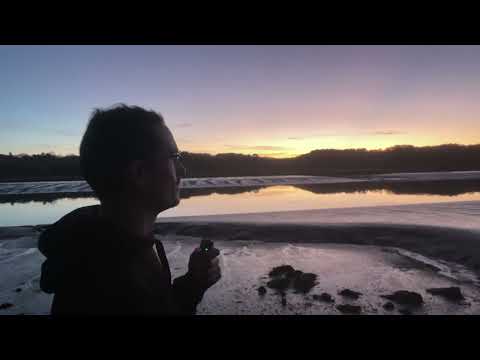 Failure, anger and death