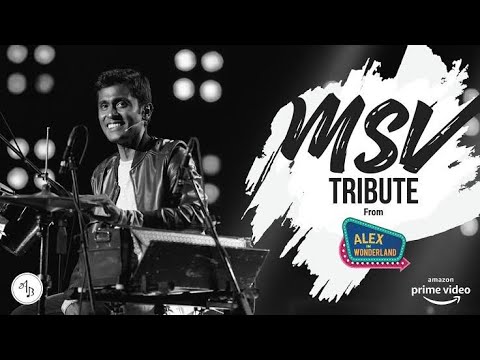 MSV TRIBUTE from ALEX IN WONDERLAND