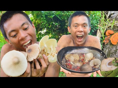 Comer Cogumelos Selvagens com Pimentão e Especiarias. Tão Delicioso! 😋🥵🍄🌶️