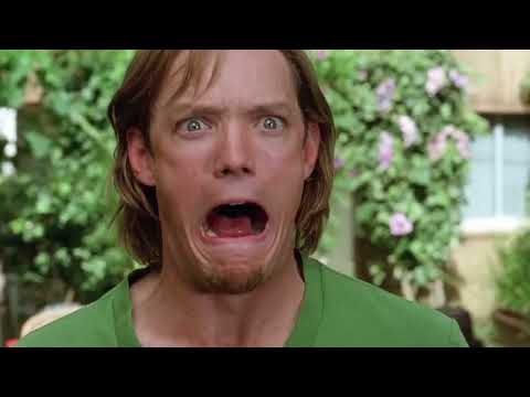 A Character's Life (A Bug's Life) Part 20 - The Party/"You're Not Warriors?"