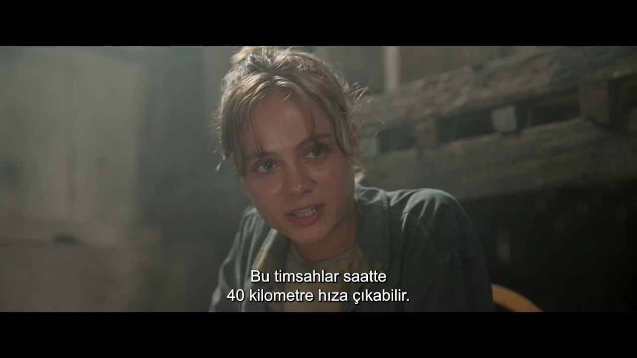 The Bayou - Videolar