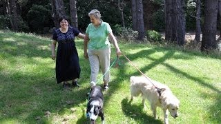 IHC Volunteering: Sue and Serena