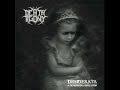 Death Agony Desiderata A Devastating Revelation Full Album 2019
