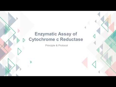 Enzymatic Assay of Cytochrome c Reductase