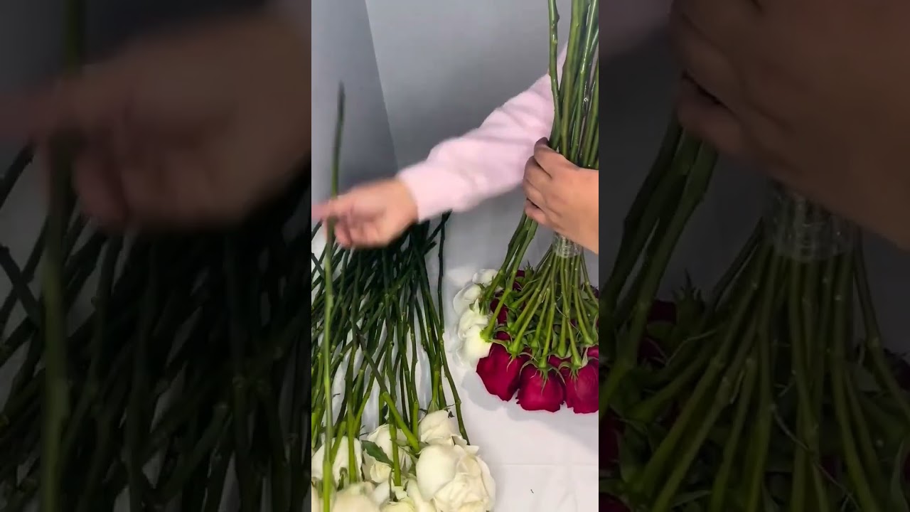 RAMO BUCHON EN CORAZÓN ❤️ #foryou #amor #reels #shortvideo #youtubeshorts