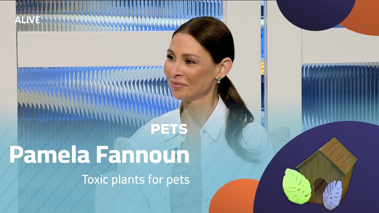 Pets - 12/11/2025 - Pamela Fannoun - Toxic plants for pets