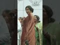 Vidya Balan Hot Look In Saree Vidya Balan Dancing In Saree Vidya Balan Dance Shorts Vidyabalan