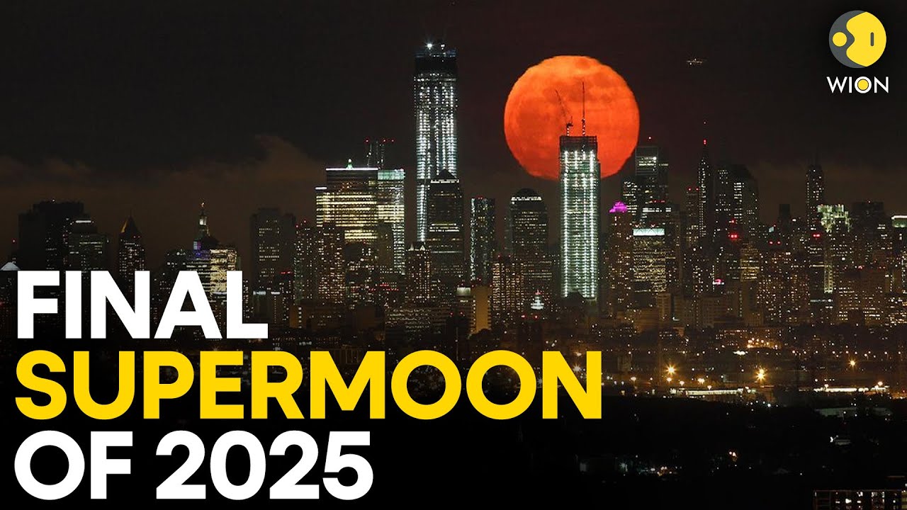 Supermoon 2025 LIVE: Biggest Supermoon Of 2025 Shines Tonight! Spectacular Lunar Show Lights Up Sky