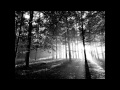 Żywiołak - Oj Ti Petre, Petre (petrіvchana) 