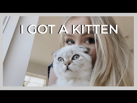 I GOT MY KITTEN - izandelle