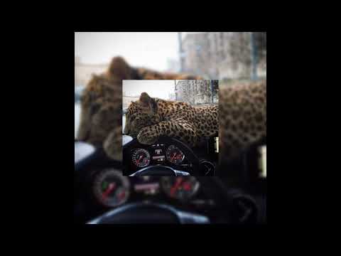 Serge Devant feat. Hadley - Addicted (slowed + reverb)