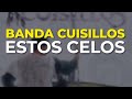 Banda Cuisillos - Estos Celos (Audio Oficial)