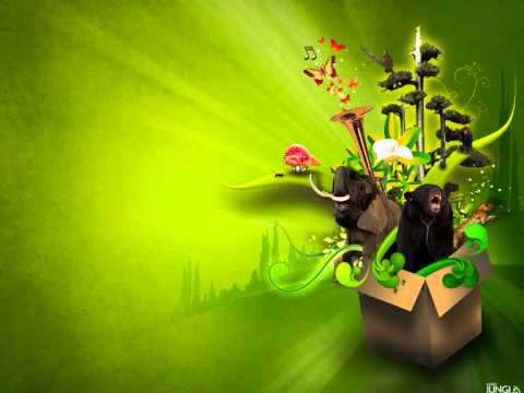 Miki Litvak - Guadeloupe