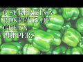6 Surprising Benefits of Green Peppers