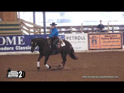 Premier Magnum ridden by Dr. Wendy Rhoads  - 2017 NRBC (Fri. Ltd. NP)