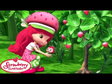 Moranguinho 🍓 A Pequenina Tutti-frutti 🍓 Episódios completos