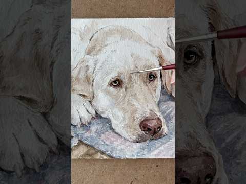 Louis 💙 #memorialportrait